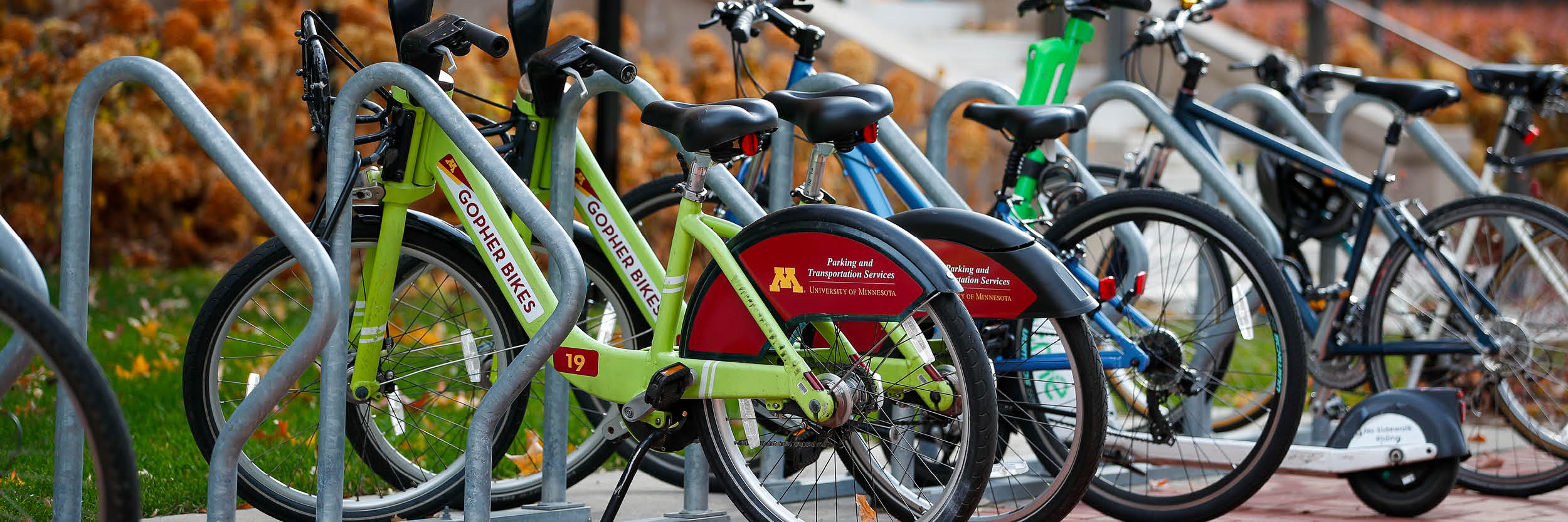 Bikes locked at a bike corral on campus